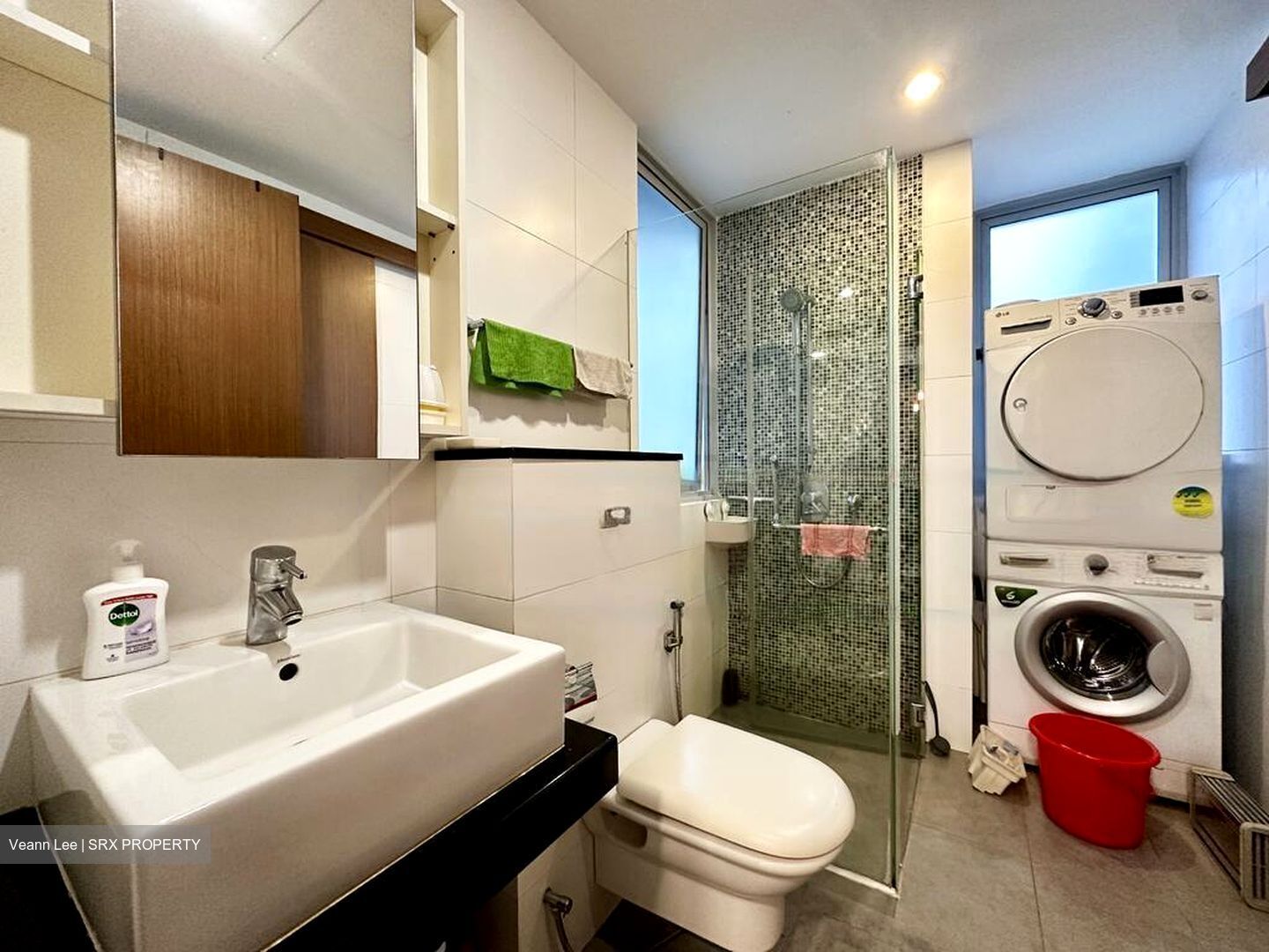 The Lucent (D15), Apartment #564794961